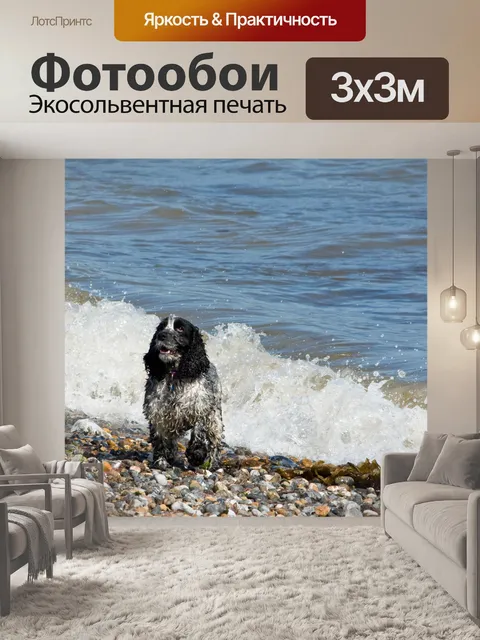 Фотообои Собака на океан