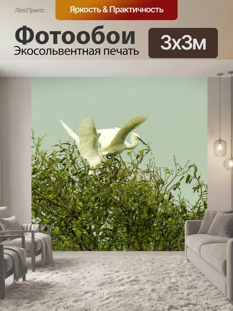 Фотообои Аисты и улитки