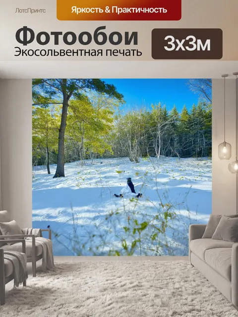 Фотообои на фоне утреннего тумана символ атеизма изображён в виде парящей птицы, символизирующей свободу разума