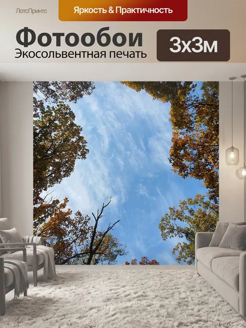 Фотообои Республика корея