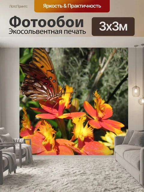 Фотообои Эпидендрум