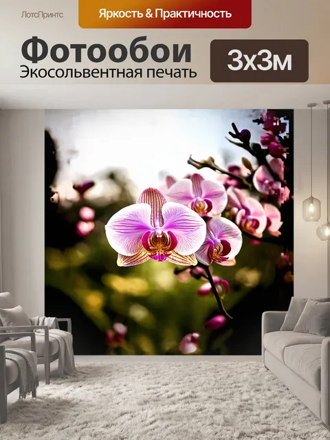 Фотообои в солнечном саду, омываемом мягким светом, орхидея распускается, словно танцующая балерина, с лепестками…