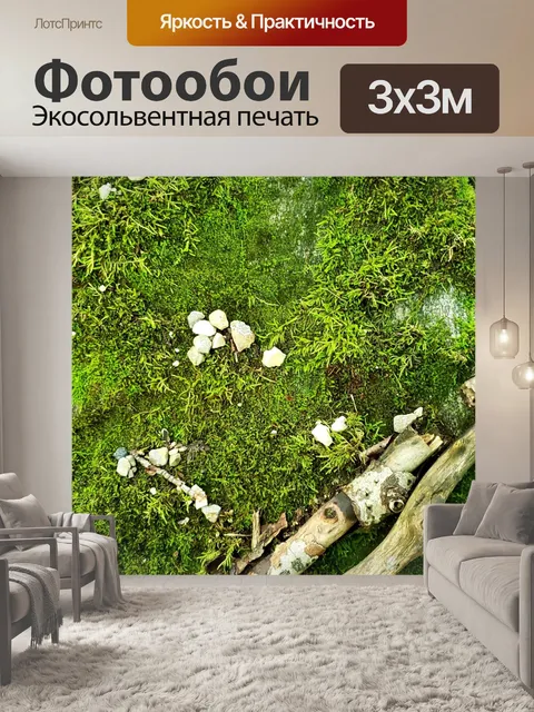 Фотообои Мосс, галька и палочки