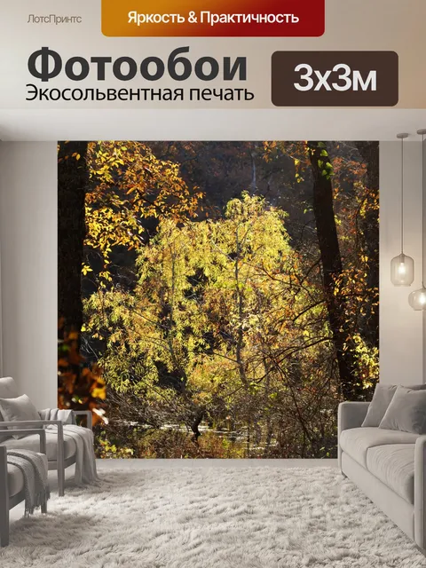 Фотообои Водяная ива осенью