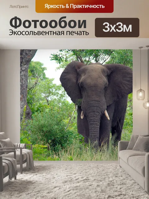 Фотообои Южная африка