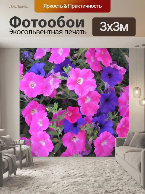 Фотообои Петунии Розовый Фиолетовый