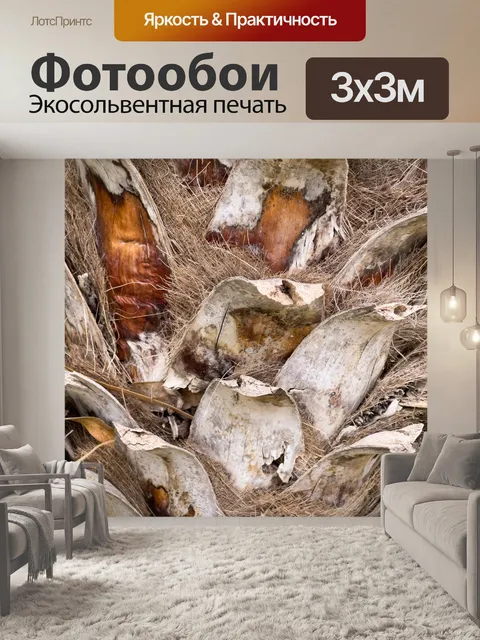 Фотообои Деталь ствола пальмы