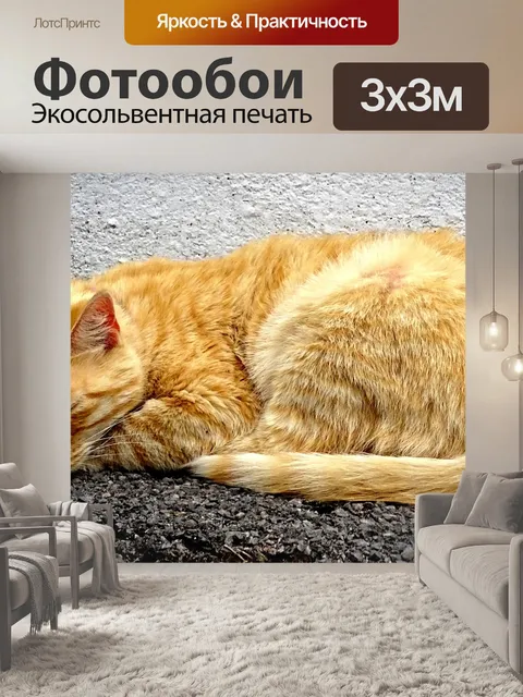 Фотообои Спящая рыжая кошка