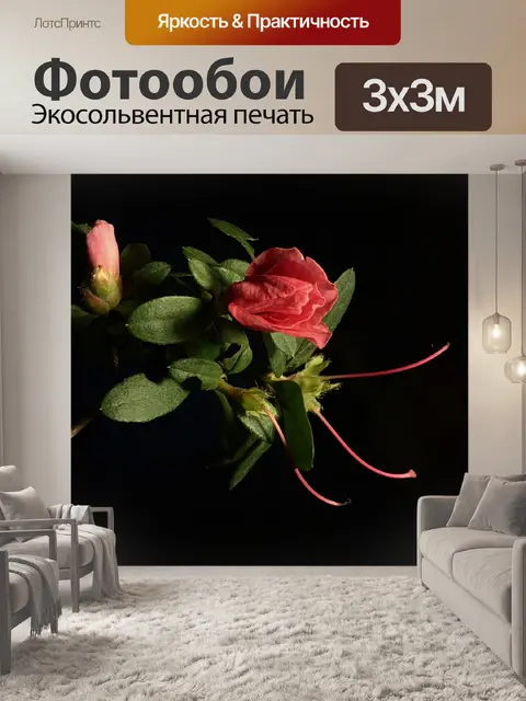 Фотообои Розовый цветок