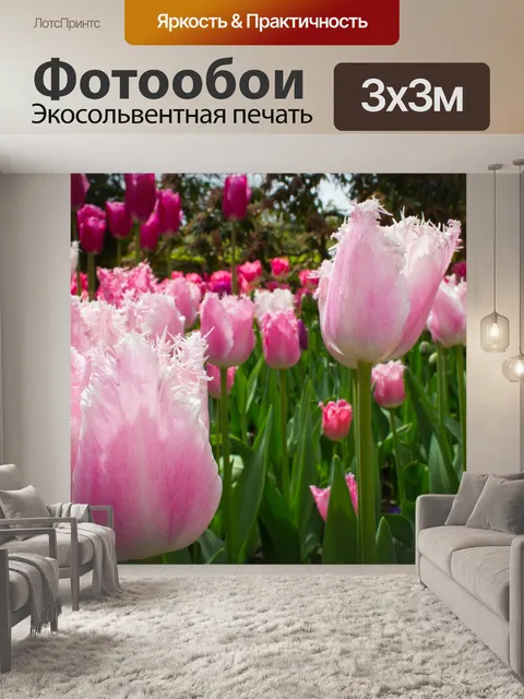 Фотообои Розовые тюльпаны