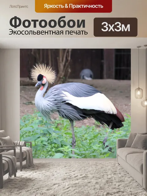 Фотообои Венценосный журавль