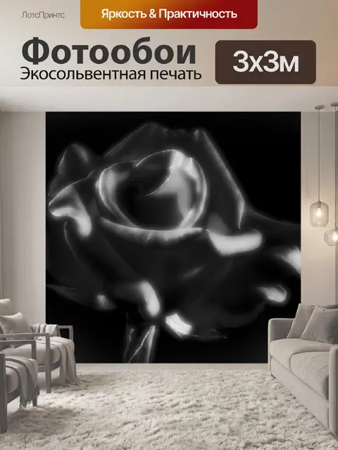 Фотообои Роза черный и белый