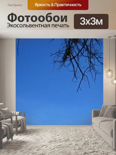 Фотообои голубое небо с силуэтом веток