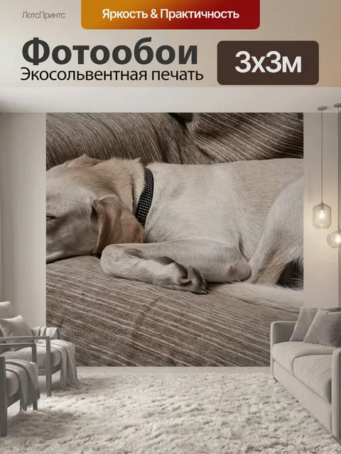 Фотообои Собака