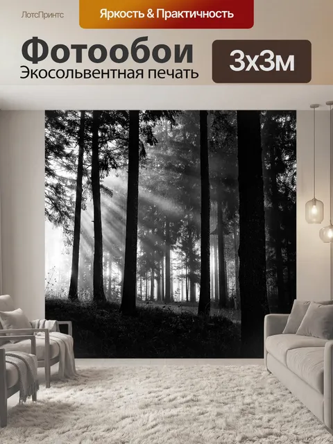 Фотообои солнечные лучи в лесу