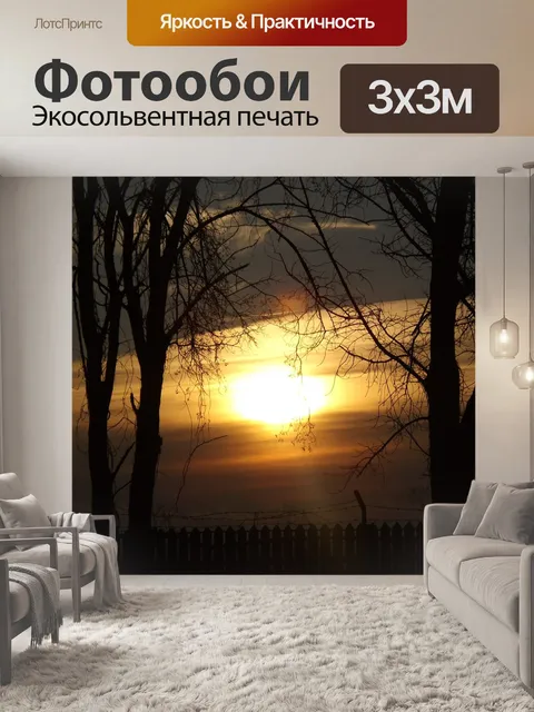 Фотообои Поднялся