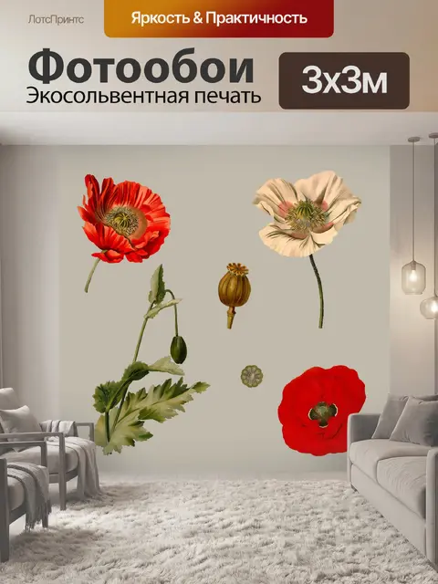Фотообои Маки Иллюстрация