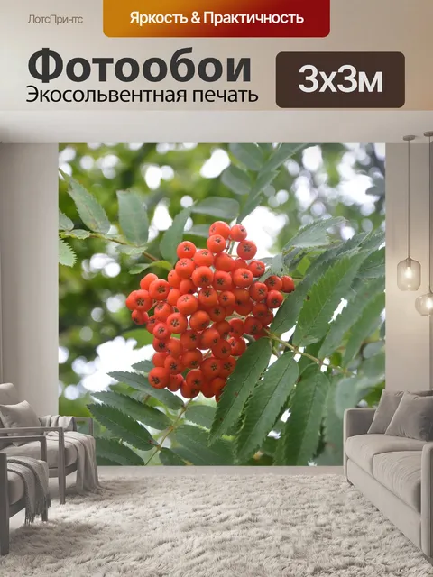 Фотообои Красные ягоды