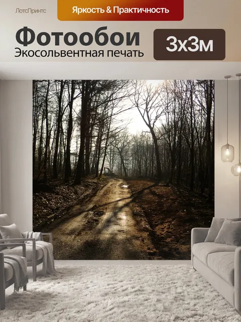 Фотообои Лес