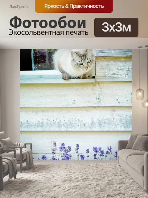 Фотообои Кот