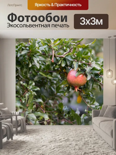 Фотообои Фрукты
