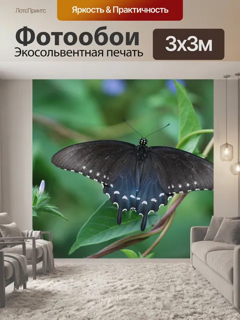 Фотообои бабочка