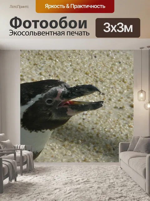 Фотообои Пингвин питание