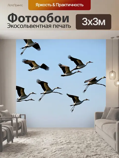 Фотообои животные в стиле текстуры, изображающие стаю журавлей в полете с акцентом на текстуры их перьев и неба