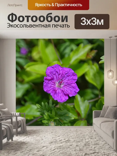 Фотообои В саду