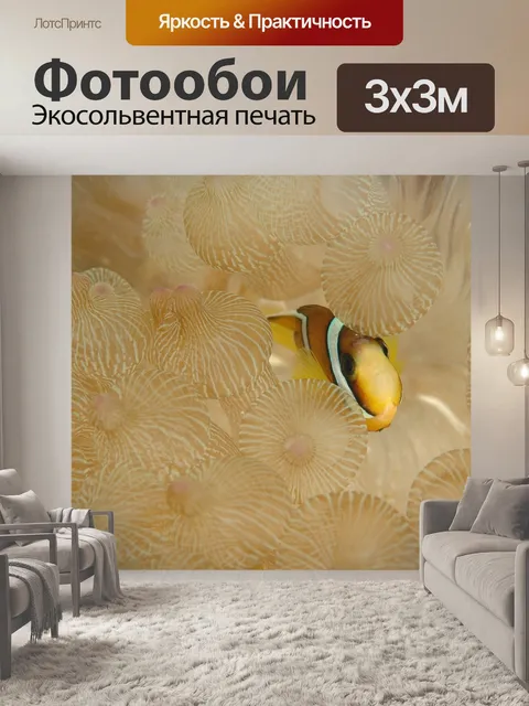Фотообои Анемон кларка
