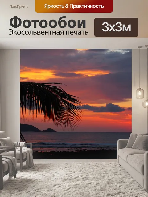 Фотообои Пальма