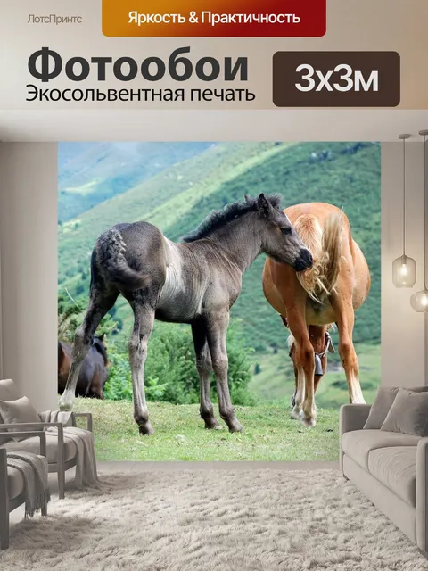 Фотообои Лошади