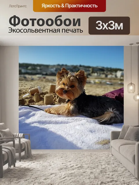 Фотообои Собака