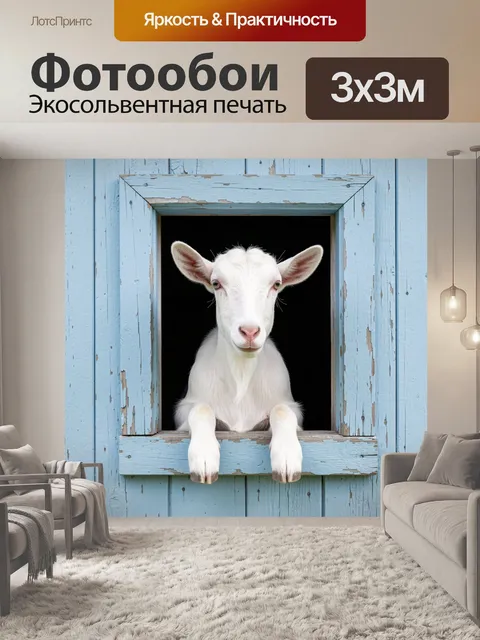 Фотообои Козленок в голубой раме