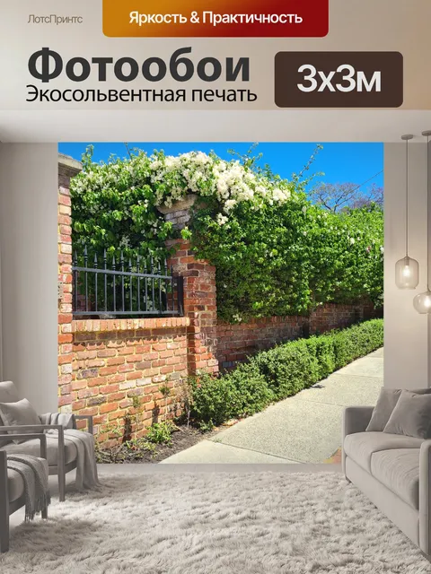Фотообои Белый забор из бугенвиллеи