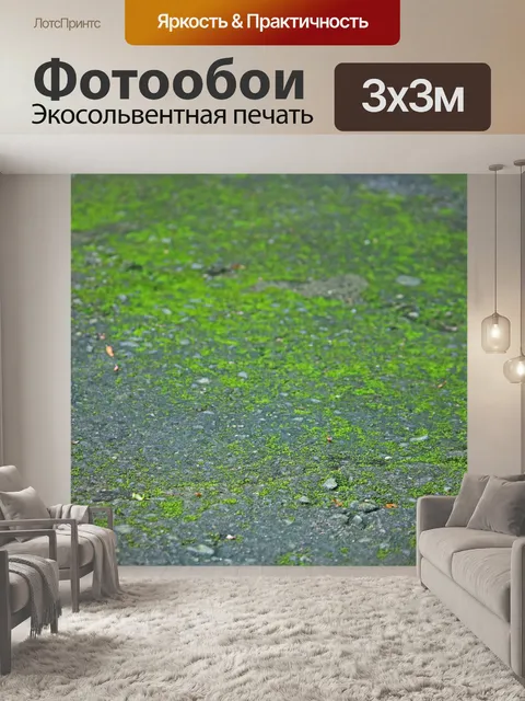 Фотообои мох на смоченной поверхности