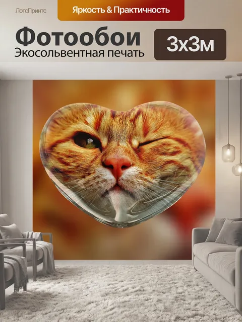 Фотообои Кот