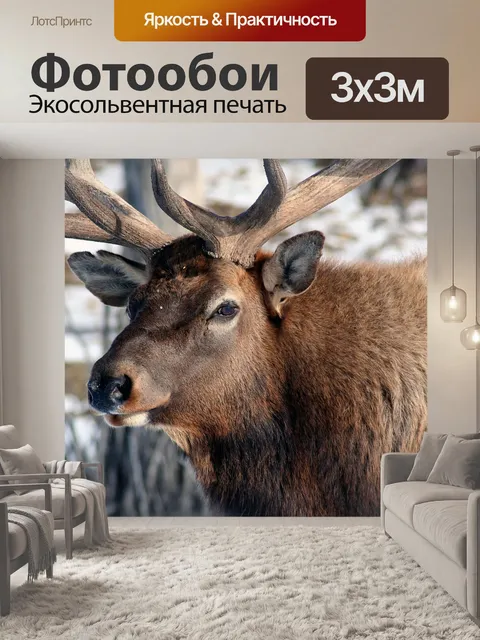 Фотообои Лось