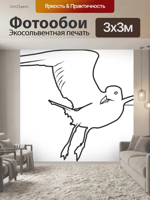 Фотообои Чайка