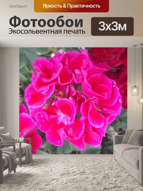 Фотообои Яркие розовые цветы