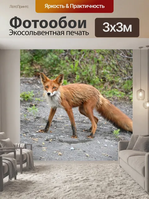 Фотообои Лиса