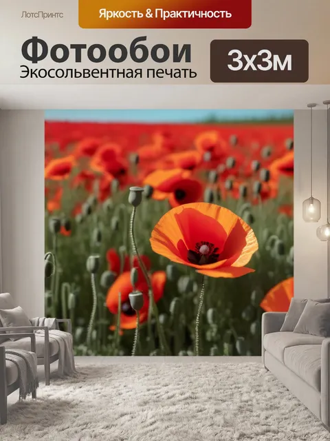 Фотообои поля с разноцветными маковыми цветами