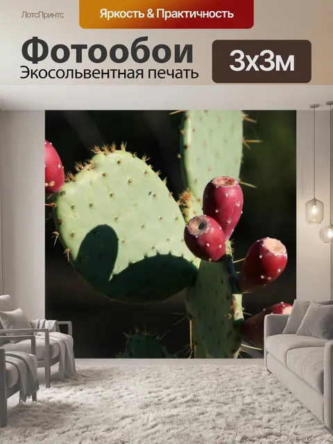 Фотообои Колючая груша cactus