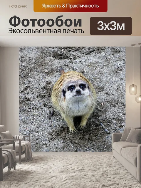 Фотообои Зоопарк