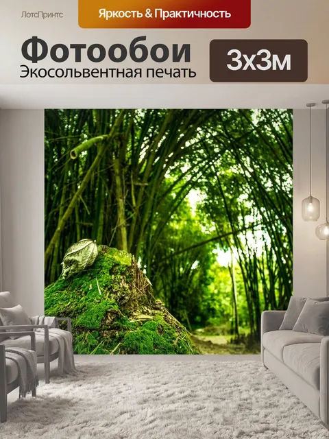 Фотообои Лес