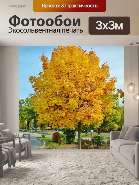 Фотообои Октябрь