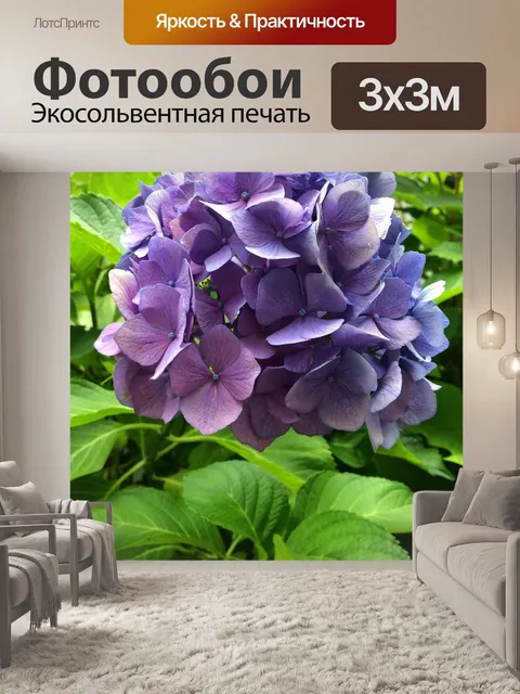 Фотообои Гортензия