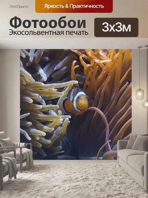 Фотообои Анемоны