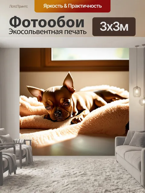 Фотообои щенок чихуахуа, спящий на мягком пледе, с бликами солнечного света, пробивающегося сквозь окно