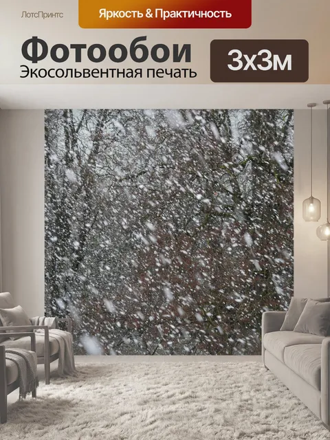 Фотообои Снегопад